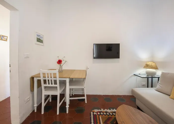 Oltrarno Classic By Mmega Appartement *